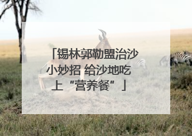 锡林郭勒盟治沙小妙招 给沙地吃上“营养餐”