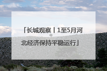长城观察丨1至5月河北经济保持平稳运行