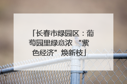 长春市绿园区：葡萄园里绿意浓 “紫色经济”焕新枝