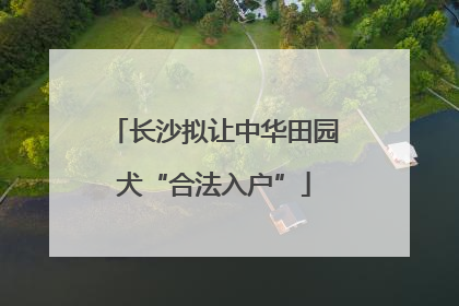 长沙拟让中华田园犬“合法入户”