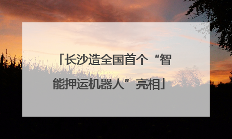长沙造全国首个“智能押运机器人”亮相