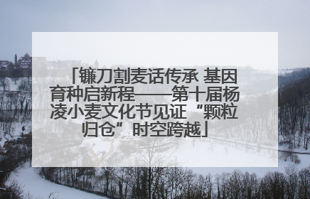 镰刀割麦话传承 基因育种启新程——第十届杨凌小麦文化节见证“颗粒归仓”时空跨越