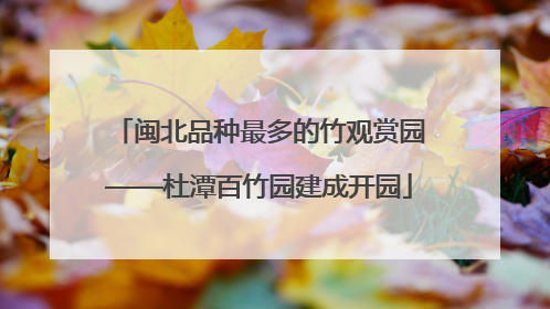 闽北品种最多的竹观赏园——杜潭百竹园建成开园