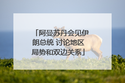 阿曼苏丹会见伊朗总统 讨论地区局势和双边关系