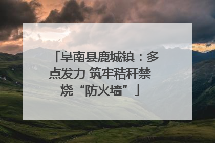 阜南县鹿城镇：多点发力 筑牢秸秆禁烧“防火墙”