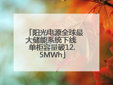 阳光电源全球最大储能系统下线 单柜容量破12.5MWh