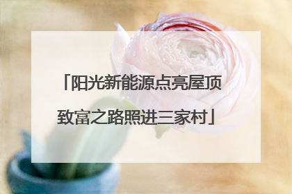 阳光新能源点亮屋顶 致富之路照进三家村