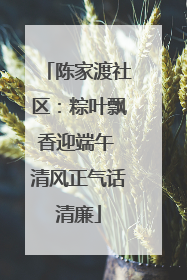 陈家渡社区：粽叶飘香迎端午 清风正气话清廉