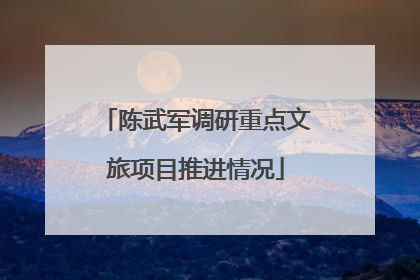 陈武军调研重点文旅项目推进情况