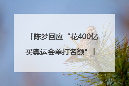 陈梦回应“花400亿买奥运会单打名额”