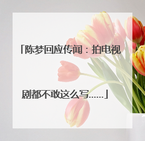 陈梦回应传闻：拍电视剧都不敢这么写……