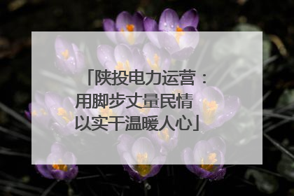 陕投电力运营：用脚步丈量民情 以实干温暖人心