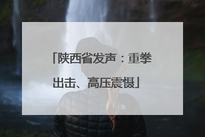 陕西省发声：重拳出击、高压震慑