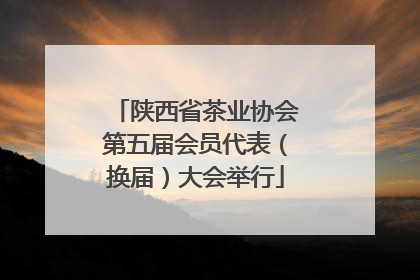 陕西省茶业协会第五届会员代表（换届）大会举行