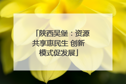 陕西吴堡：资源共享惠民生 创新模式促发展