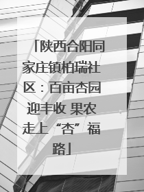 陕西合阳同家庄镇柏瑞社区：百亩杏园迎丰收 果农走上“杏”福路