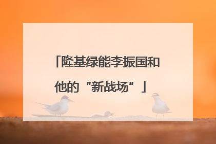 隆基绿能李振国和他的“新战场”