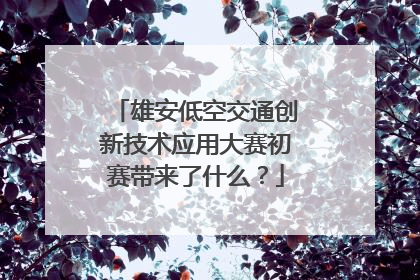 雄安低空交通创新技术应用大赛初赛带来了什么？