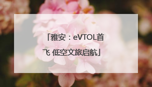 雅安：eVTOL首飞 低空文旅启航