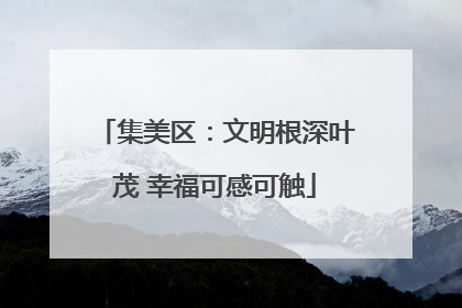 集美区：文明根深叶茂 幸福可感可触