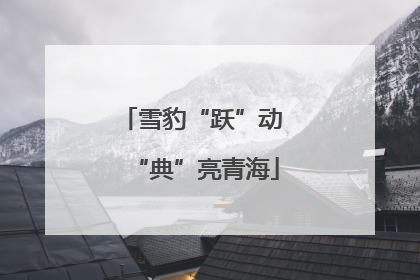 雪豹“跃”动 “典”亮青海