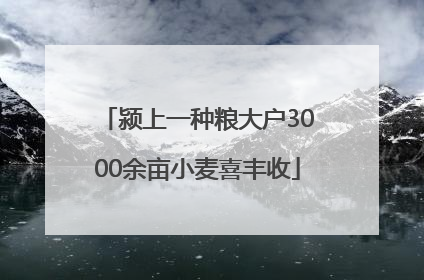 颍上一种粮大户3000余亩小麦喜丰收