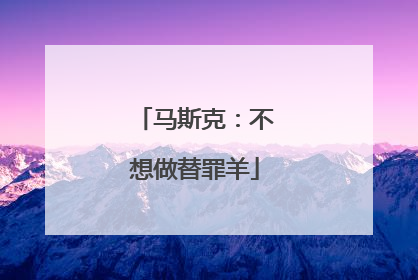 马斯克：不想做替罪羊