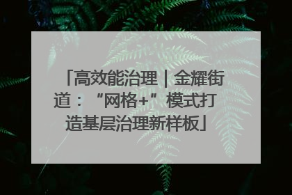 高效能治理｜金耀街道：“网格+”模式打造基层治理新样板
