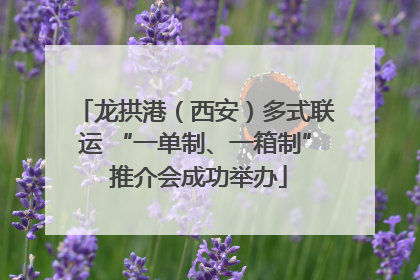 龙拱港（西安）多式联运 “一单制、一箱制” 推介会成功举办