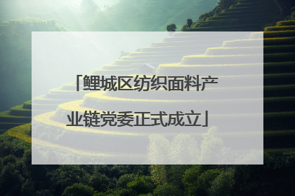 鲤城区纺织面料产业链党委正式成立