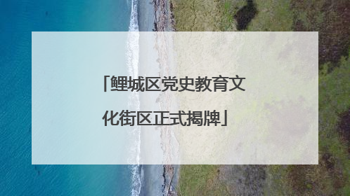 鲤城区党史教育文化街区正式揭牌