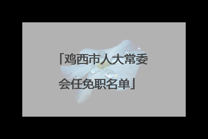 鸡西市人大常委会任免职名单