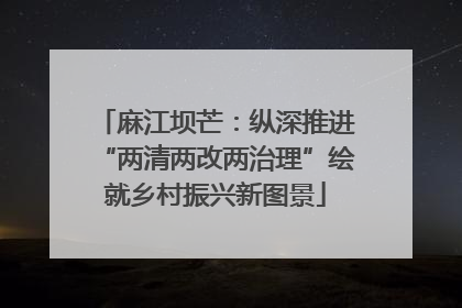 麻江坝芒：纵深推进“两清两改两治理”绘就乡村振兴新图景