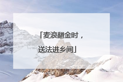 麦浪翻金时，送法进乡间