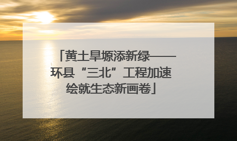 黄土旱塬添新绿——环县“三北”工程加速绘就生态新画卷