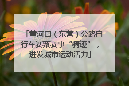 黄河口（东营）公路自行车赛聚赛事“骑迹”，迸发城市运动活力