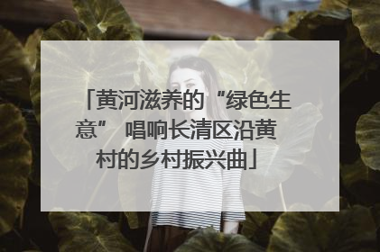 黄河滋养的“绿色生意” 唱响长清区沿黄村的乡村振兴曲