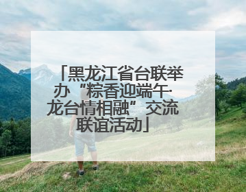 黑龙江省台联举办“粽香迎端午·龙台情相融”交流联谊活动