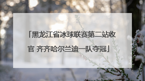 黑龙江省冰球联赛第二站收官 齐齐哈尔兰迪一队夺冠