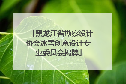 黑龙江省勘察设计协会冰雪创意设计专业委员会揭牌