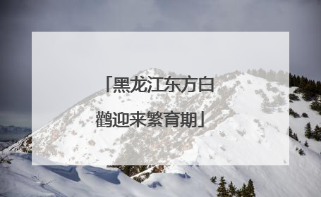 黑龙江东方白鹳迎来繁育期