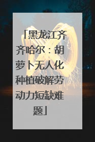 黑龙江齐齐哈尔：胡萝卜无人化种植破解劳动力短缺难题