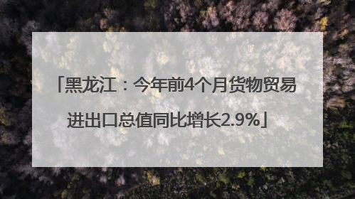 黑龙江：今年前4个月货物贸易进出口总值同比增长2.9%