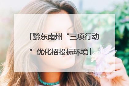 黔东南州“三项行动”优化招投标环境
