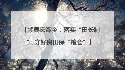黟县宏潭乡：落实“田长制” 守好良田保“粮仓”