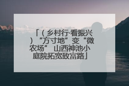 （乡村行·看振兴）“方寸地”变“微农场” 山西神池小庭院拓宽致富路