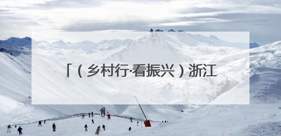 （乡村行·看振兴）浙江嘉善：“零工经济”助乡村民众“家门口”增收