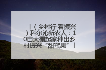 （乡村行·看振兴）科尔沁新农人：10亩大棚起家种出乡村振兴“甜蜜果”