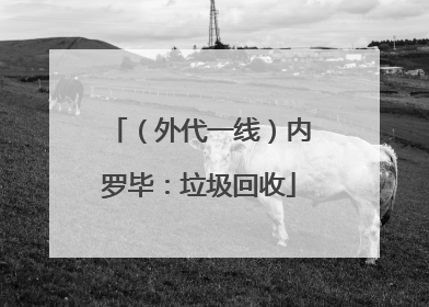 （外代一线）内罗毕：垃圾回收