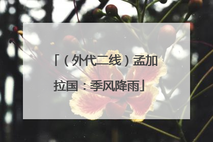 （外代二线）孟加拉国：季风降雨